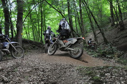 Bois mont&eacute;e groupe