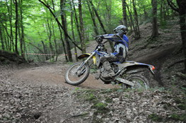 Bois mont&eacute;e