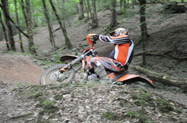 Bois mont&eacute;e