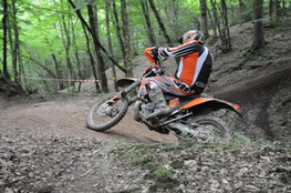 Bois mont&eacute;e