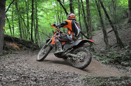 Bois mont&eacute;e