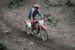 Bois mont&eacute;e 013