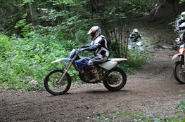 Bois mont&eacute;e
