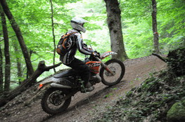Bois mont&eacute;e 142