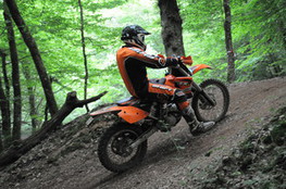 Bois mont&eacute;e