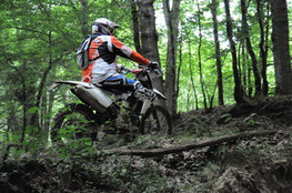 Bois mont&eacute;e BMW 030