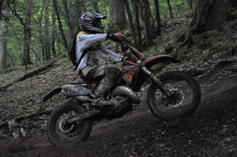 Bois mont&eacute;e