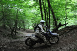 Bois mont&eacute;e 080 et grosse pierre