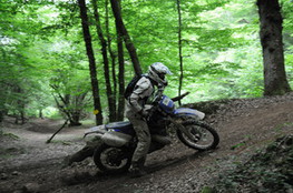 Bois mont&eacute;e 080 rattrapage