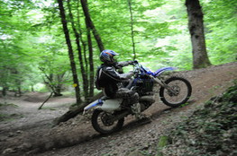 Bois mont&eacute;e