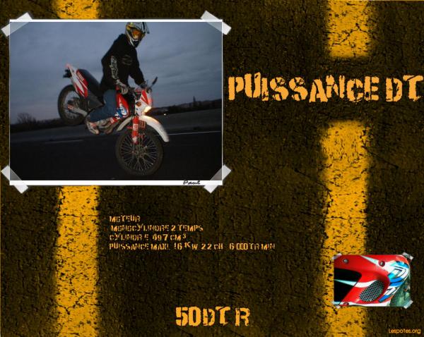 Photographie : Paul - 50DT