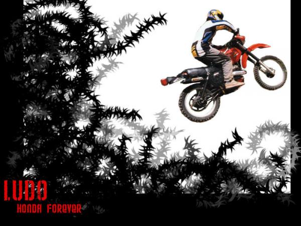 Photographie : Ludo 2 (125 XLS)