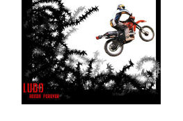 Ludo 2 (125 XLS)