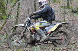 dans les bois
