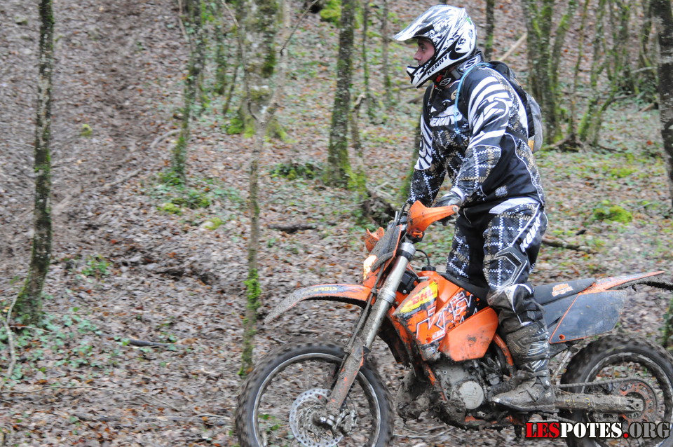 Photographie : dans les bois