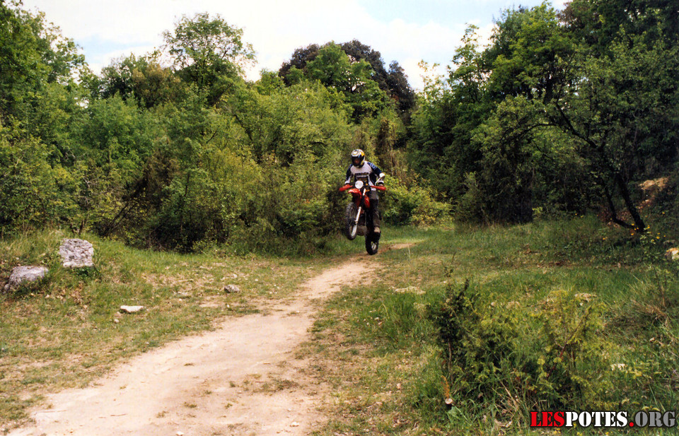 Photographie : Ludo - wheeling - 250 XR