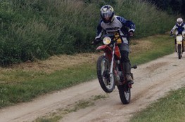 Ludo - wheeling 1