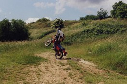 Ludo - wheeling 2