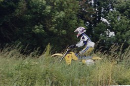 Quentin - herbe