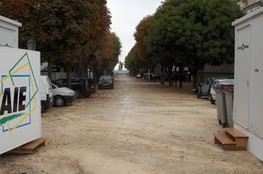 Paddock (Vide)