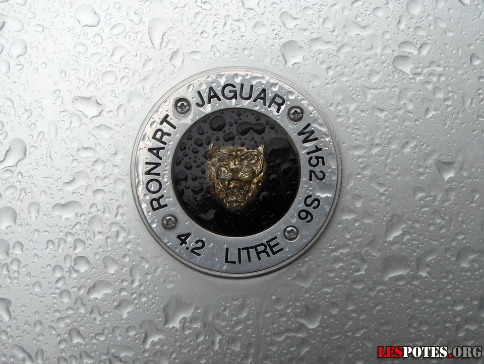 Photographie : Ronart W152 S6 (Logo)
