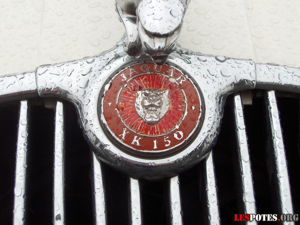 Photographie : Jaguar XK 150 (Logo)