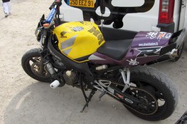 Stunt - Hornet