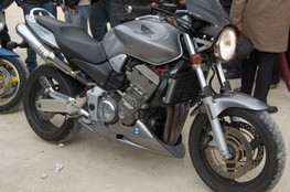 Hornet (grise)