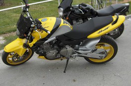Hornet (jaune 2)