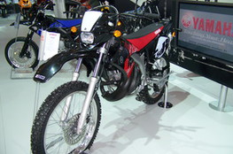 Yamaha 50 DT (Paulo :D)