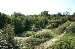 Terrain vue d'ensemble