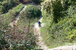 Ludo joue dans la flaque