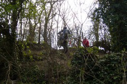 Dans les bois