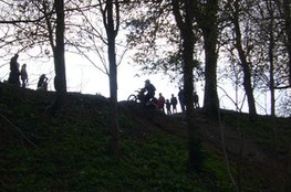 montée dans les bois