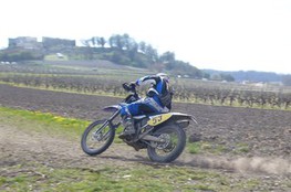 N°53