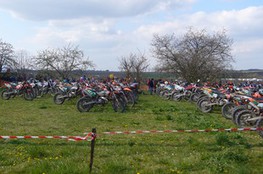 le paddock