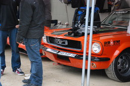 Paddock - Mustang