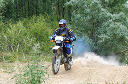 La d&eacute;chetterie - Bilou16