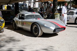Diva Ford 1964 #18