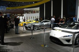 Stand Lotus
