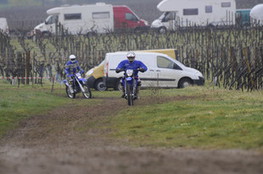 Vignes 634 et 635