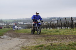 Vignes 634