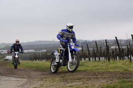 Vignes 635