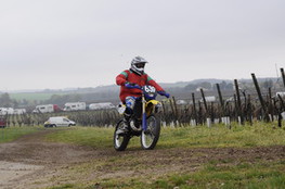 Vignes 639