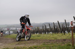 Vignes 649