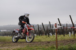 Vignes 649