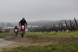 Vignes 646 et 648