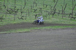 Vignes 679