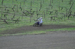 Vignes 679
