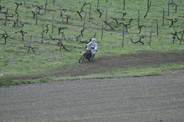 Vignes 679
